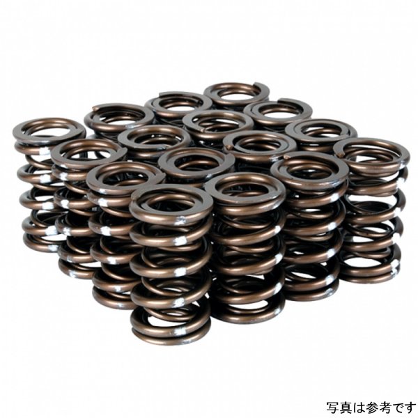 Skunk2 Pro Series Honda/Acura B-Series VTEC XP バルブスプリング Set (Dual Springs) SKK311-05-7350 WO店