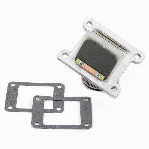 ボイセン Boyesen リードバルブ RAD バルブ カーボンファイバー製 88年-06年 ヤマハ YFS200 RAD35A WO店