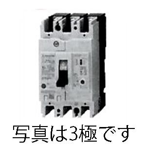 エスコ ESCO AC100-240V/ 60A/2極 漏電遮断器 フレーム60 EA940MN-16 WO店