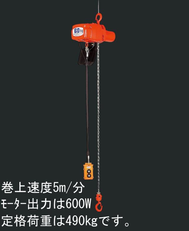エスコ ESCO 490kgx5.0m 電動チェーンブロック EA987DA-9 WO店