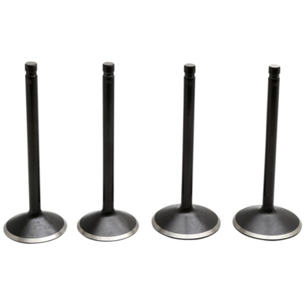 キブルホワイト Kibblewhite バルブキット ブラックダイヤモンド 99年-04年 Twin Cam WO店 19,963円