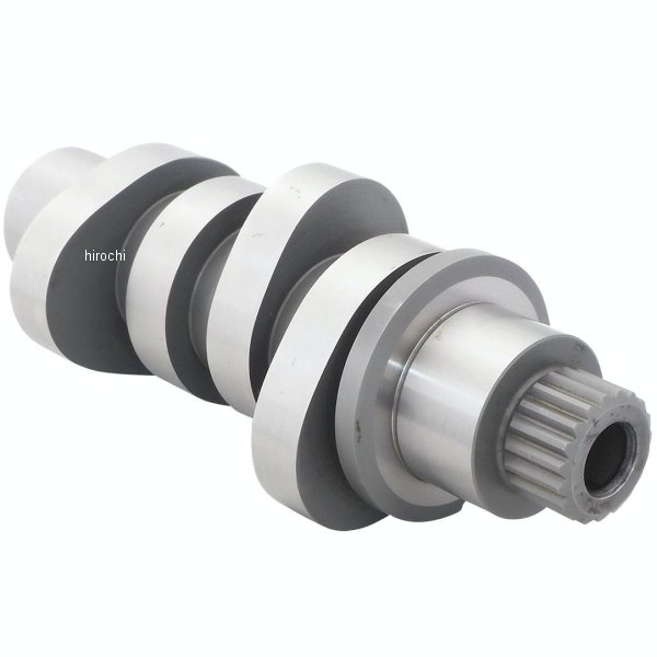 ポール・アイズピリ 2本のアイリス リトグラフ 111/200