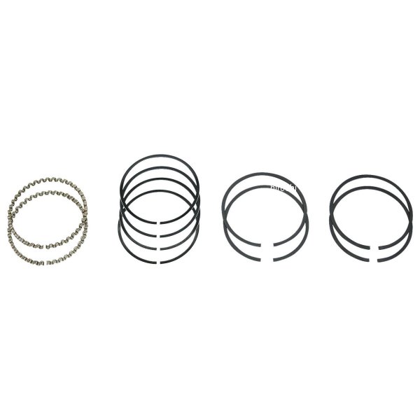HASTINGS ヘイスティングス ピストンリング 1200/1340cc EVO モリブデン +.030 2M6164030 WO店の通販は 8,480円
