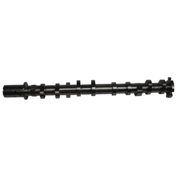 COMP Cams Camshaft セット 2018+ フォード Coyote 5.0L STG2 NST Thumper CCA433710 WO店