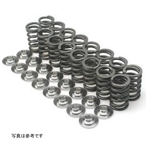 Brian Crower ニッサン SR20DE Single Valve Springs (Set of 16) BRCBC1200 WO店