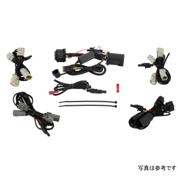 Diode Dynamics Harness Only for Hitch Mount Pod DIODD4190 WO店