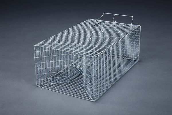 280x465x180mm ねずみ捕獲器 000012290978 WO店の通販は