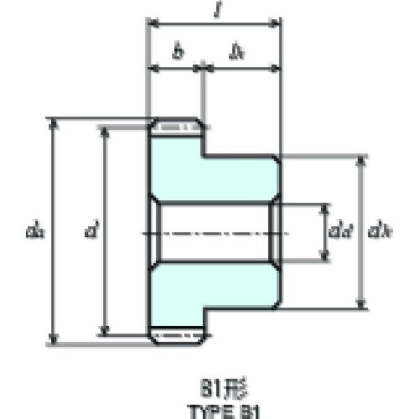 S80BP120B0505  協育歯車工業(株) KG フードコンタクト 青POM ギヤシリーズ 平歯車 S80BP120B-0505 WO店の通販は