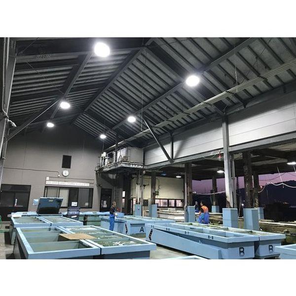 天草池田電機(株) ELI Lamp PL-564TL-CC200W 屋内・屋外用 003043 WO店