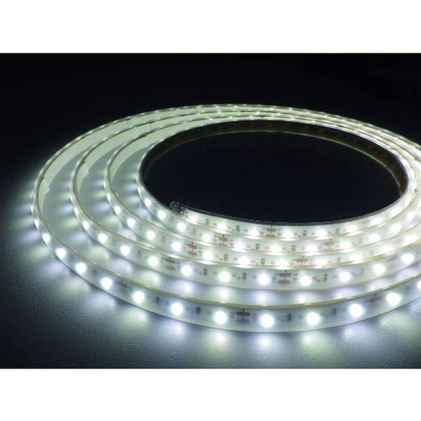 TLVD50316.6P3 LEDテープライト Viewdi DC12V 16.6mmP 5000K 3m巻 TLVD50316-6P3-TN WO店