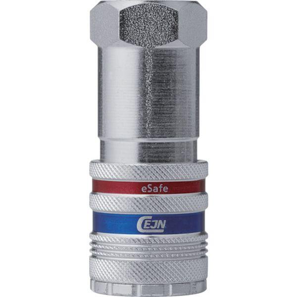 105502404 セインジャパン(株) セイン 続きもの550 eSafe カップリング メネジ NPT3/8in 105502404-TN WO店