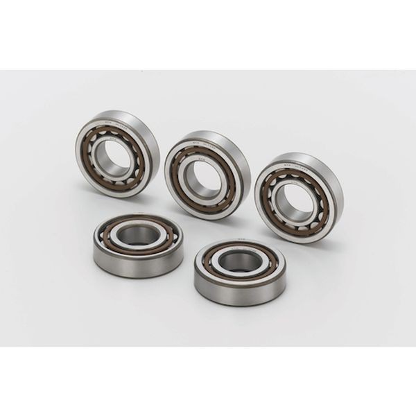 円筒ころ軸受 NJ形 内輪径70mm 外輪径125mm 幅24mm NJ214EAT2X WO店の通販は