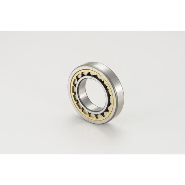 円筒ころ軸受 NU形(すきま大タイプ)内輪径65mm 外輪径140mm 幅33mm NU313EAG1C3 WO店 12,619円