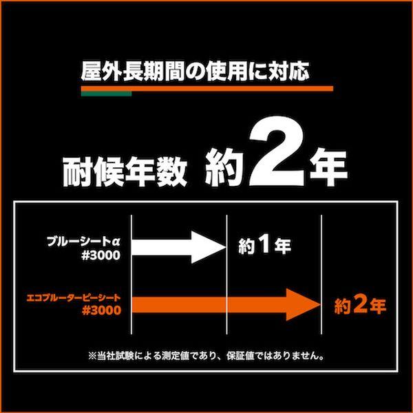 TP5472A  ブルーシート エコブルーターピーシート＃3000 幅5.4mX長さ7.2m TP5472A-TN WO店_2