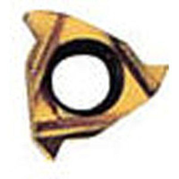 Carmexねじ切り用チップ ISOメートルねじ用 チップサイズ6×P0.5×60° 10個入り 06IR0-5ISOBXC-TN WO店 19,341円