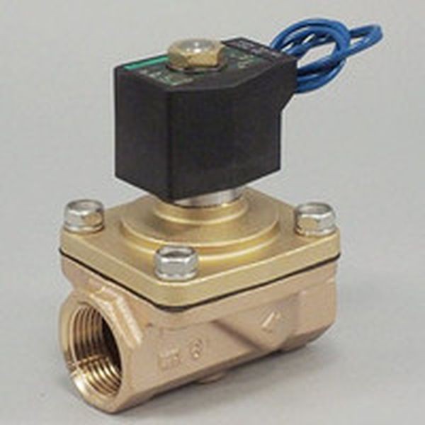 ADK11-25A-02C-AC100V ＣＫＤ　パイロットキック式２ポート電磁弁（マルチレックスバルブ） ＷＯ店の通販は