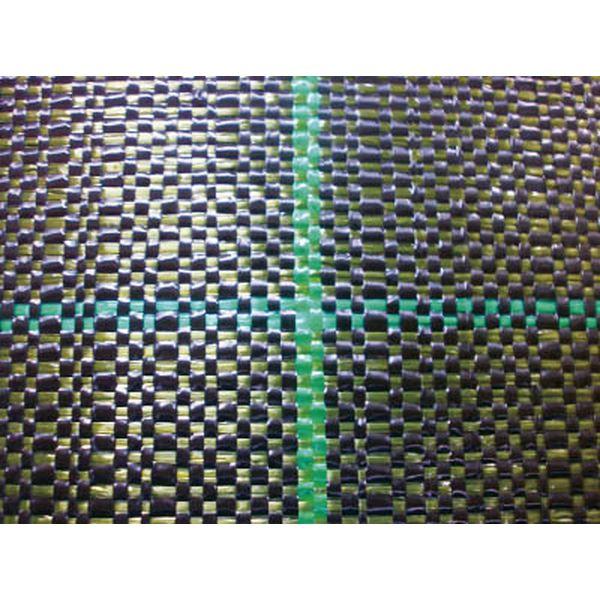 BG15151X100 日本ワイドクロス(株) ワイドクロス 防草シ-ト グリーン BG15151X100-TN WO店 24,879円
