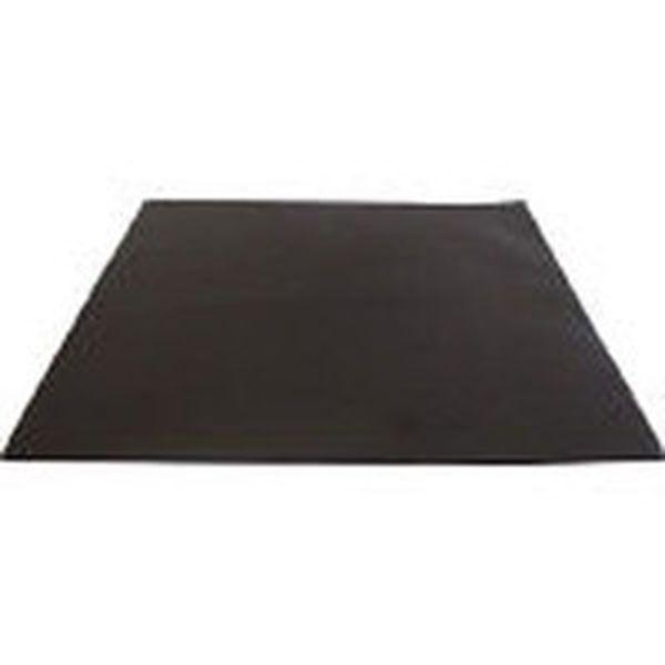 E3030-2525 エクシール　ゴミホコリ除去シート“半導電ゲルシート”２５０Ｘ２５０ｍｍ ＷＯ店