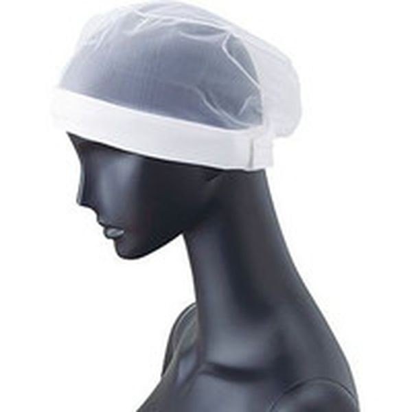 G-5071-F サンペックス　ヘアネット　ホワイト　フリー　（１０枚入） ＷＯ店 8,195円