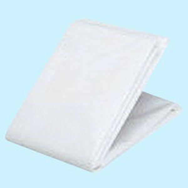 GBS-5472A ＴＲＵＳＣＯ　防炎シートα軽量　幅５．４ｍＸ長さ７．２ｍ ＷＯ店の通販は 21,808円