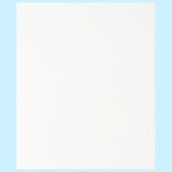 LWFS3020000 三共理化学(株) 三共 ラッピングフイルムシート230x280 ＃20000 100枚入り LWFS3020000-TN WO店