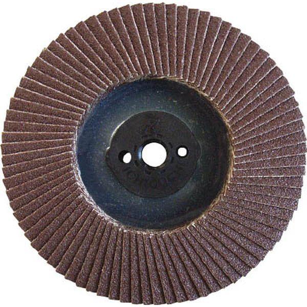 TDRV100M10A100 (株)イチグチ AC テクノディスクA・REVO 100XM10 ＃100 10枚入り TDRV100M10A100-TN WO店