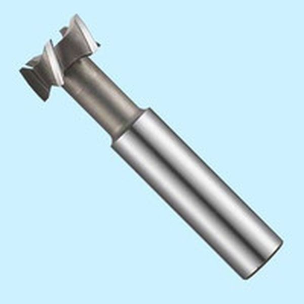 TSE20X6 ＦＫＤ　Ｔスロットエンドミル２０×６ ＷＯ店の通販は