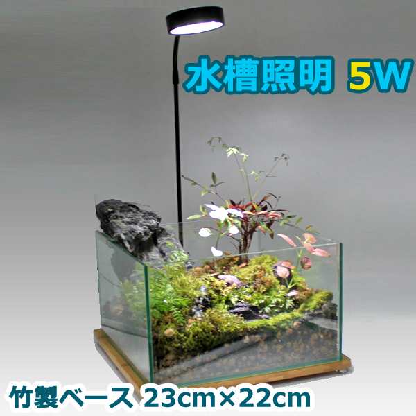 水槽照明 cm 水槽 5w Led 竹製ベース アクアリウムライト 小型 角度調節可能 水草 植物育成 熱帯魚の通販はau Pay マーケット 46z8