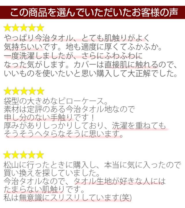 今治タオル 枕カバー ピローケース Ideezora イデゾラ ナチュラルタイム パイル ピロケース 45 90cの通販はau Pay マーケット 丸栄タオル株式会社