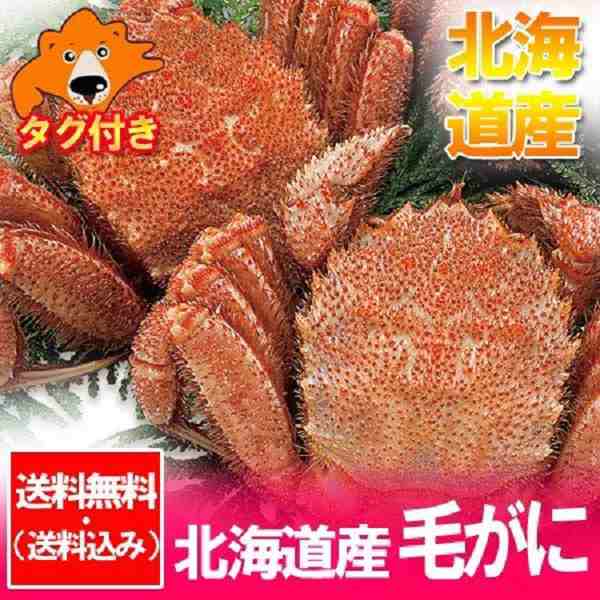 北海道 毛ガニ ギフト 送料無料 浜茹で毛がに 約570g 2尾 価格 13500 円 北海道産の毛ガニ 毛蟹 送料無料 ギフト 毛ガニ 贈答品の通販はau Pay マーケット 北海道 ポイント 市場