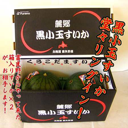 送料無料すいか 富良野産 富良野 麓郷 ろくごう 黒 小玉すいか スイカ 西瓜 2玉 1 6kg 2 価格 5000円 ふらの スイカ ろくごう 小玉 の通販はau Pay マーケット 北海道 ポイント 市場