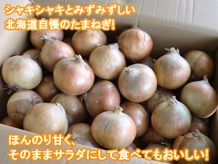 随時発送中 北海道 たまねぎ 20kg 送料無料 玉ねぎ 20kg Lサイズ 共撰 玉葱 野菜 たまねぎ 北海道産 富良野 もしくは 北見F1 もしくは 名寄 タマネギ_1