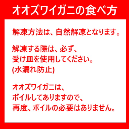 随時発送中 北海道 オオズワイガニ ボイル かに 姿 送料無料 オオ　ズワイガニ 姿 11尾入り ズワイガニ姿 合計4kg前後 カニ 蟹 かに 北海道 魚介類 水産加工品 カニ ずわい_2