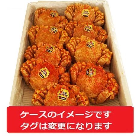 北海道産 毛ガニ 送料無料 北海道 浜ゆで 毛がに / 毛蟹 / 毛ガニ 北海道産 毛蟹 9尾入 1ケース 4kg まとめ買い 毛ガニ 魚介類 シーフード カニ