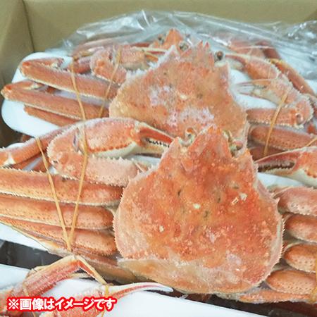 随時発送中 北海道 オオズワイガニ ボイル かに 姿 送料無料 オオ　ズワイガニ 姿 11尾入り ズワイガニ姿 合計4kg前後 カニ 蟹 かに 北海道 魚介類 水産加工品 カニ ずわい_1