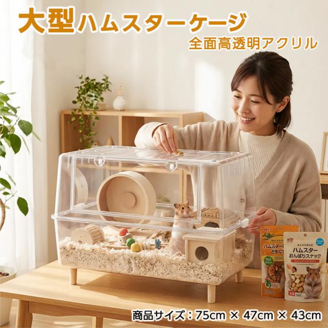 透明PET素材の飼育ケース 75cm 楽天市場】深型 飼育ケースの通販