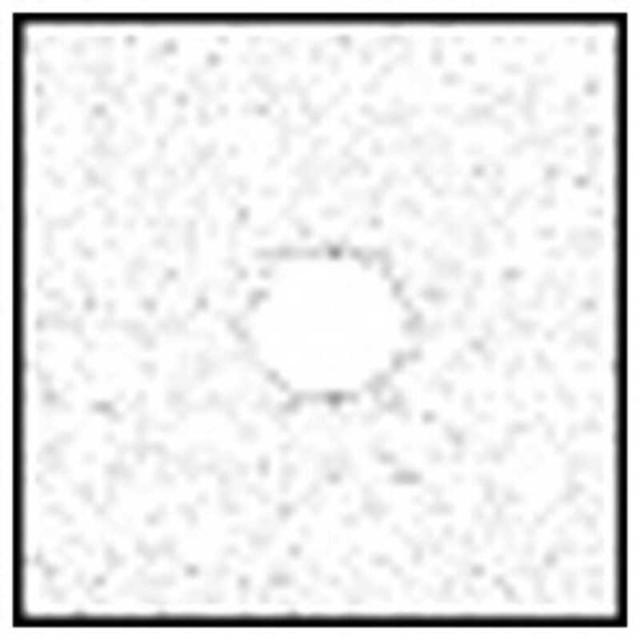 コッキン　センタースポットフィルター(ホワイト1･広角用)　COKINZ070