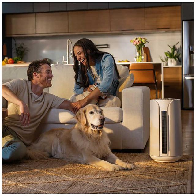 BLUEAIR 空気清浄機 ComfortPure 3-in-1 T10i 空気清浄:18畳まで PM2.5