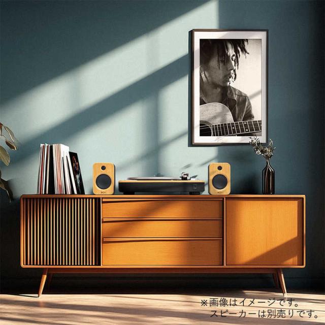 HOUSEOFMARLEY　STIR IT UP 2 ワイヤレスターンテーブル ［フォノイコライザー内蔵］ シグネチャーブラック　EM STIR IT UP WIRELESS 2 SB_10