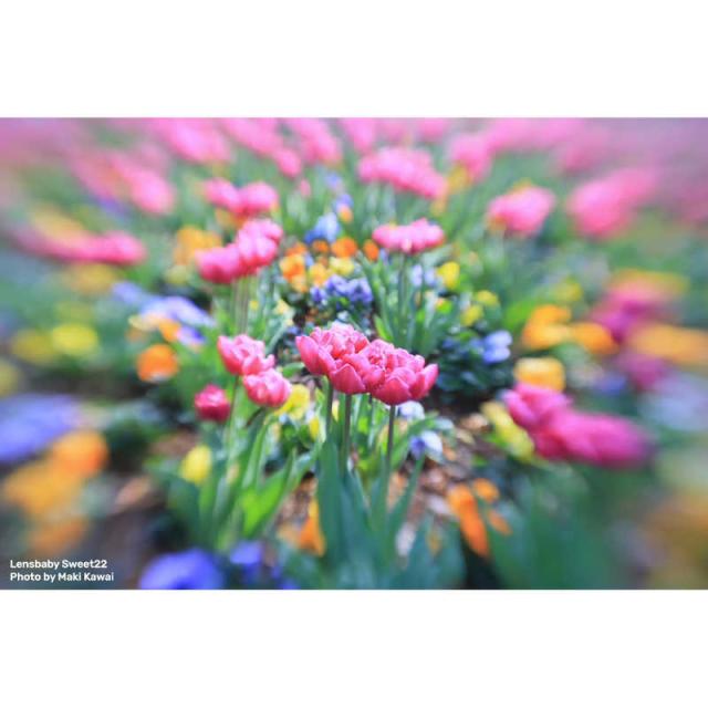 レンズベビー　カメラレンズ (ライカSL/TL用)　Sweet 22 22mm F3.5_3