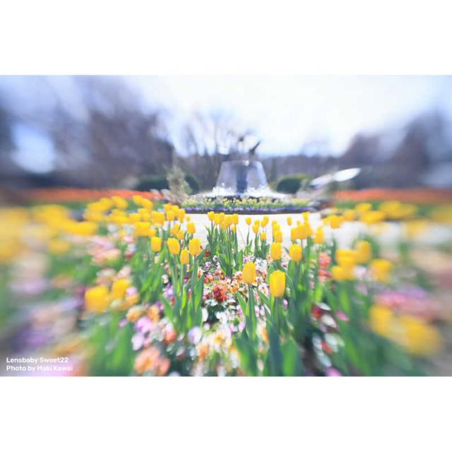 レンズベビー　カメラレンズ (ライカSL/TL用)　Sweet 22 22mm F3.5_7