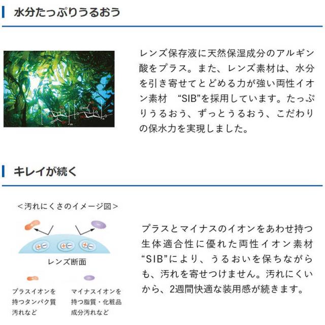 SEED　(度あり/-10.00) (4箱セット) 2ウィーク ピュア うるおいプラス (BC8.6/DIA13.8)_2