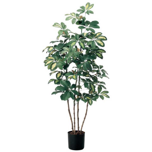 アスカ商会　フェイクグリーン ベビーシェフレラ グリーン　A-50757-051Aの通販は 14,850円