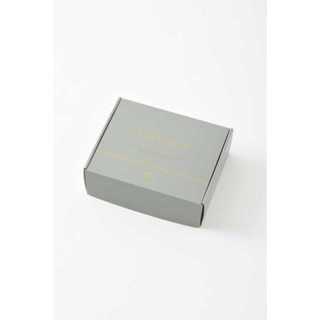 BRUNO　ブルーノ　温冷EMS フェイシャルリフト ［EMS美顔器 /国内・海外対応］　BOE145-GR_10