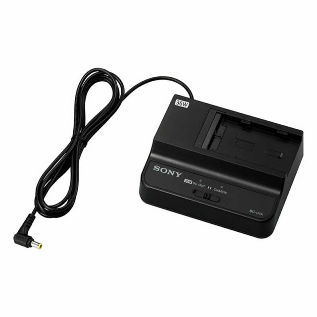 Canon デジタルビデオカメラ iVIS HF R11 ブラック IVISHFR11BK Canon デジタルビデオカメラ iVIS HF R11 ブラック IVISHFR11BK