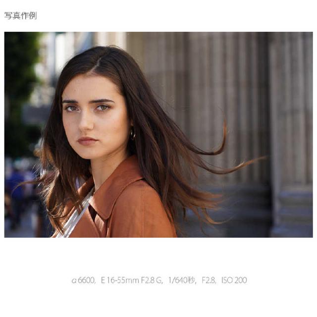 ソニー　SONY　カメラレンズ 一眼レフ用 交換レンズ　E 16-55mm F2.8 G SEL1655G_5