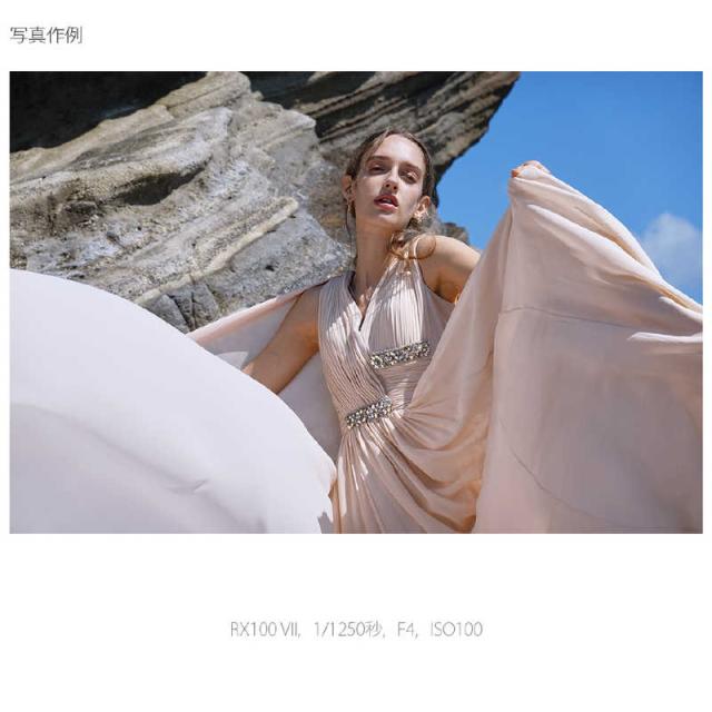 ソニー　SONY　コンパクトデジタルカメラ　Cyber-shot DSC-RX100M7G シューティンググリップキットの通販は