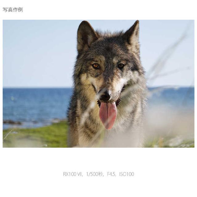 ソニー　SONY　コンパクトデジタルカメラ　Cyber-shot DSC-RX100M7G シューティンググリップキットの通販は