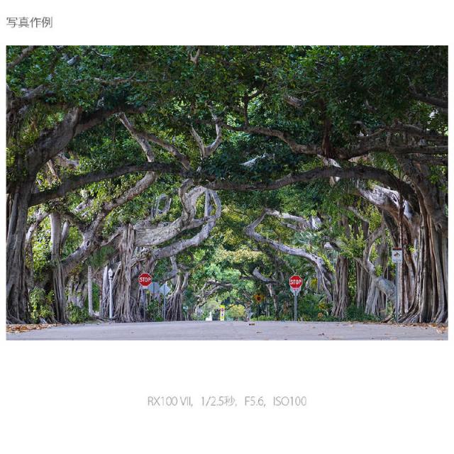 ソニー　SONY　コンパクトデジタルカメラ　Cyber-shot DSC-RX100M7G シューティンググリップキットの通販は