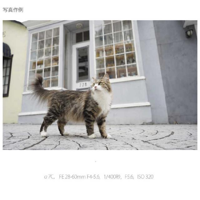 ソニー　SONY　ミラーレス 一眼 カメラ ボディ　α7C ボディ ILCE-7C ブラックの通販は